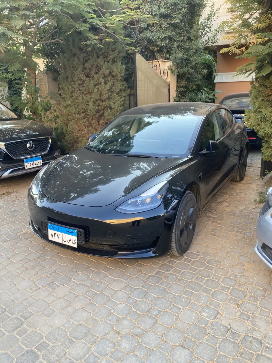 Tesla Model 3 Chinese Protocol