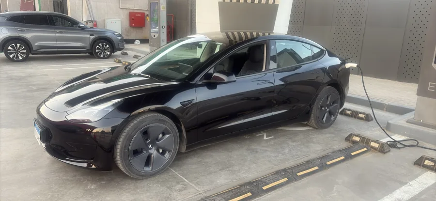 Tesla Model 3 Chinese Protocol