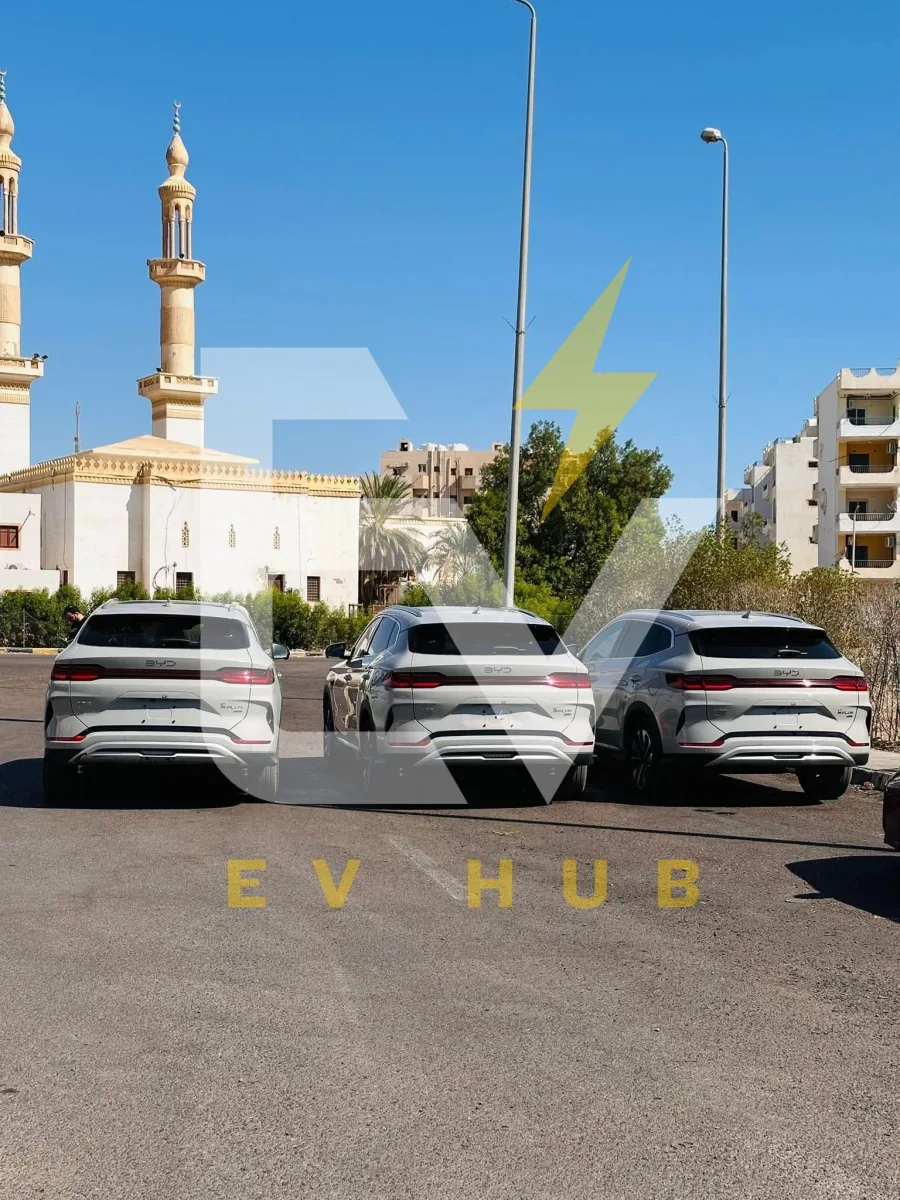 القاهرة