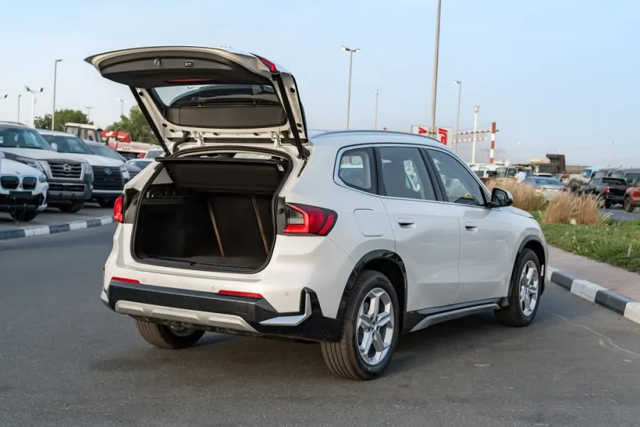 ix1 25 l sport