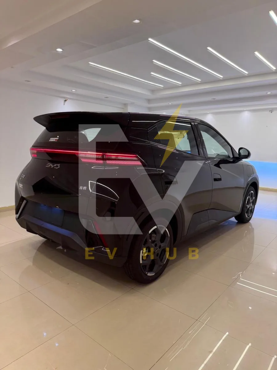 BYD seagull