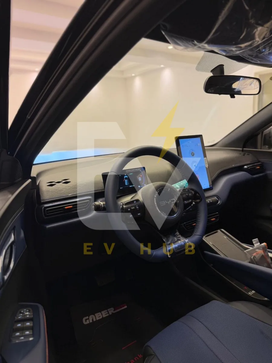 BYD seagull