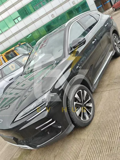 BYD song plus