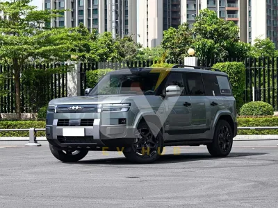 Byd leopard 7