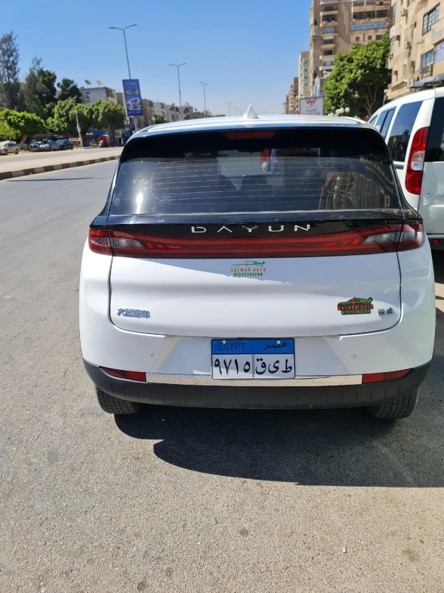 DAYUN S1