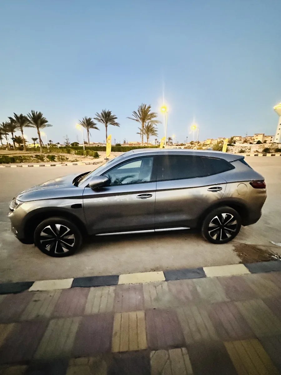 BYD X1 2025