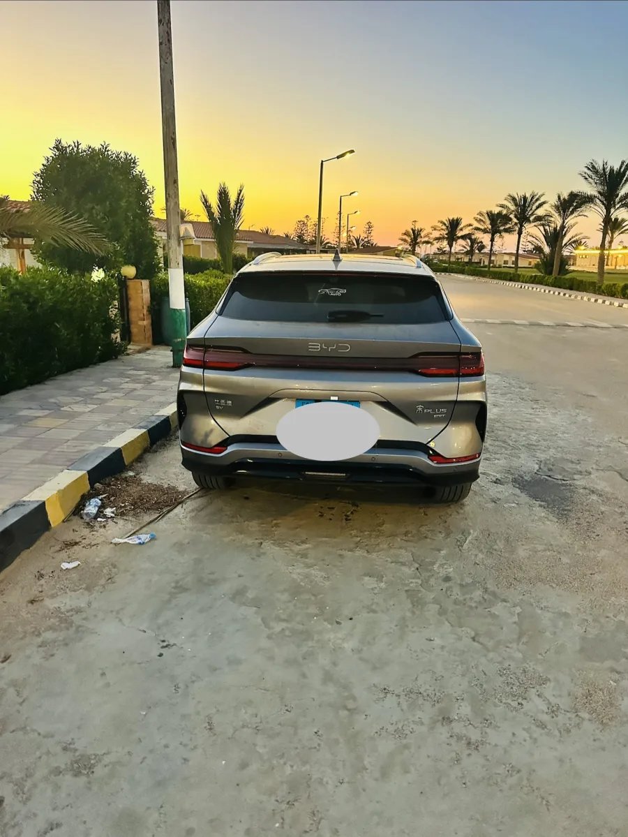 BYD X1 2025