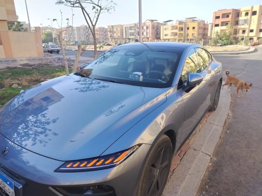 Dongfeng 007 Ev 530km