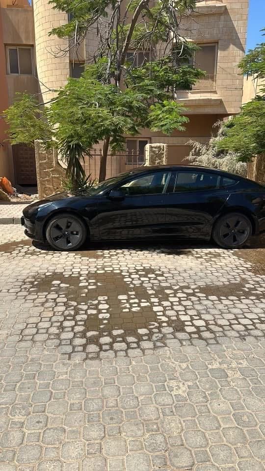 Tesla Model 3 Chinese Protocol