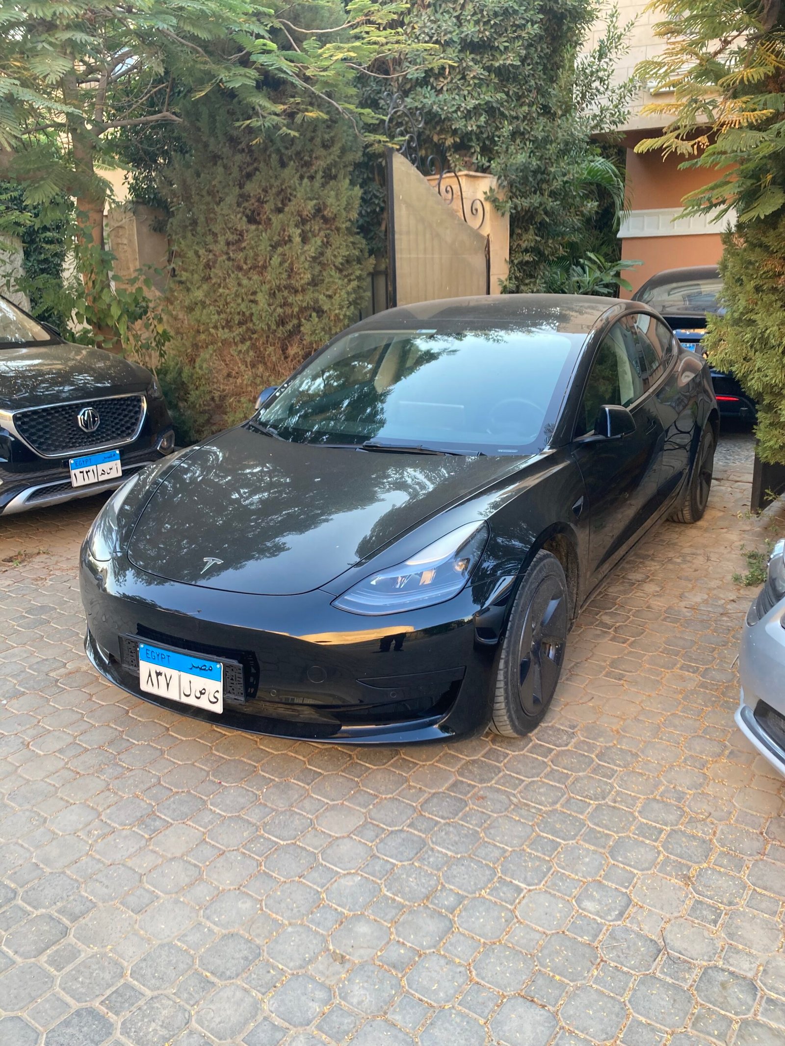 Tesla Model 3 Chinese Protocol