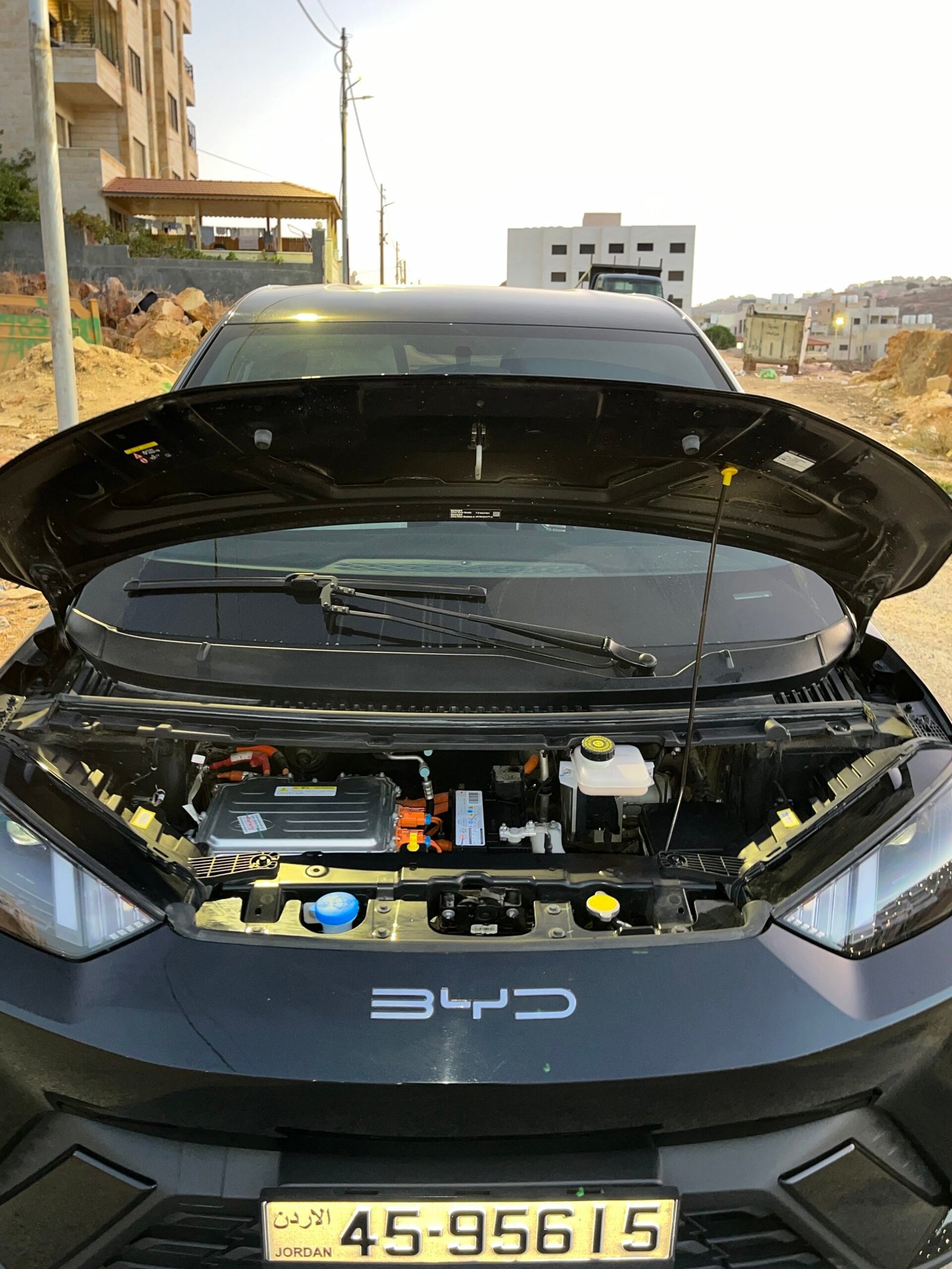 BYD SEAGULL 2024