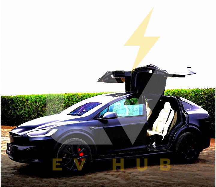 Model X